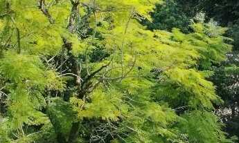 Imagem 2: 01 Dormitório com Garagem no Vicente Kieling