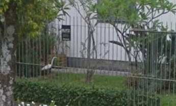 Imagem: Terreno Amplo e Plano