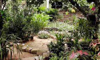 Imagem: Linda esquina com 436 m2, 30,75 m testada