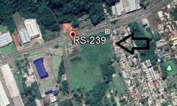 Imagem: Uma das mais belas esquinas da RS 239!
