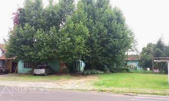 Imagem: Linda esquina com 2.000 m2 no Bairro Pátria