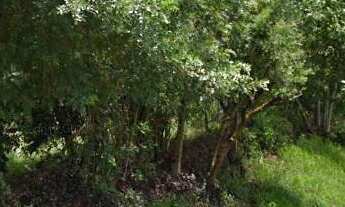 Imagem: Ampla área de 4002 m2 em região alta próximo