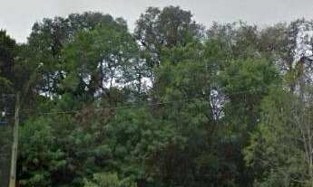 Imagem 2: 2007 m2 próximo a BR 116