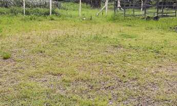 Imagem 2: Pavilhão de 1.500 m2 em área de 19.000 m2