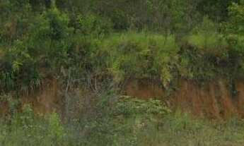 Imagem 2: Ampla área, duas frentes, vende todo ou parte. Analisa Permuta