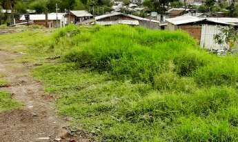 Imagem 5: Linda Área Ampla Toda Plana e Aterrada. Mais de 1 Hectare a 400 Metros da RS 239