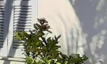 Imagem: Plana, ampla esquina! 3 dormitórios próximo