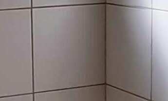 Imagem 4: Plana, ampla esquina! 3 dormitórios próximo a BR 116