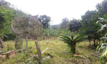 Imagem 4: Compre na Catya Varela Imóveis: Sitio com 1 hectare localizado em Rio do Meio _RS - Próxi