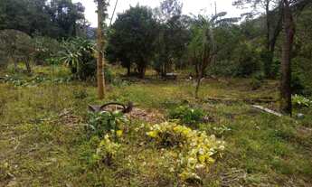 Imagem 6: Compre na Catya Varela Imóveis: Sitio com 1 hectare localizado em Rio do Meio _RS - Próxi