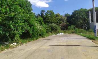 Imagem 3: Compre na Cátya varela Imoveis : Terrenos Industrias no Lot. Abramo Susin