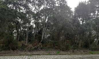 Imagem 2: Compre Terrenos escriturados no Parque Santa Rita de Ana Rech a partir de R$ 109.000,00