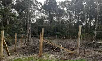 Imagem 5: Compre Terrenos escriturados no Parque Santa Rita de Ana Rech a partir de R$ 109.000,00