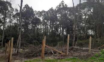 Imagem 6: Compre Terrenos escriturados no Parque Santa Rita de Ana Rech a partir de R$ 109.000,00