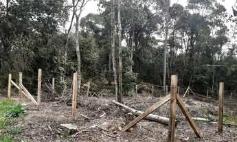 Imagem 7: Compre Terrenos escriturados no Parque Santa Rita de Ana Rech a partir de R$ 109.000,00