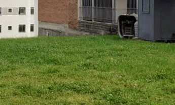 Imagem: Compre Excelente Terreno em Área Privilegia