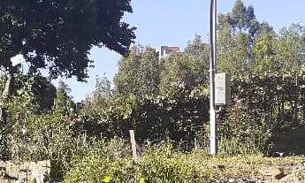 Imagem 4: Compre Aréa Urbana dentro da cidade no Desvio Rizzo, com 2.5 hectares