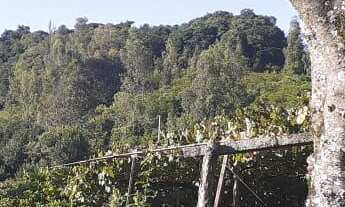 Imagem 5: Compre Aréa Urbana dentro da cidade no Desvio Rizzo, com 2.5 hectares