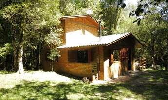 Imagem 2: Compre Belíssima Chácara em Ipê com exclusividade Riacho, casa, área de plantio