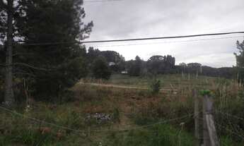 Imagem 7: Compre Terreno Em vila Seca com 360 m² próximo do Pórtico de Vila Seca