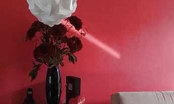 Imagem 4: Compre Belíssimo Apartamento Mobiliado com 02 dormitórios Bairro Kayser