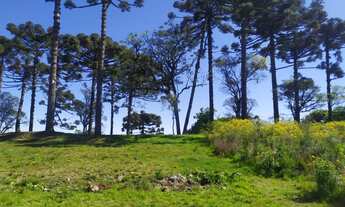 Imagem: Compre na Imobiliária Cátya Varela Terreno