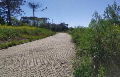 Imagem 3: Compre na Imobiliária Cátya Varela Terreno com 1002, 69 m² Privativos Loteamento Mirassol