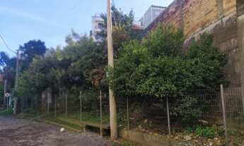 Imagem 3: Compre na Cátya Varela Imóveis: Exclusividade Casa com 02 Pavimentos b. São Leopoldo- C