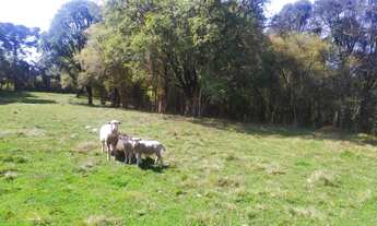 Imagem: Compre na Cátya Varela Imóveis Terreno