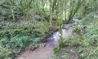 Imagem 6: Compre na Cátya Varela Imóveis: Chácara com 8 hectares com total infraestrutura em Mato P