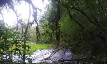 Imagem 7: Compre na Cátya Varela Imóveis: Chácara com 8 hectares com total infraestrutura em Mato P