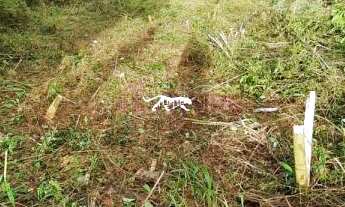 Imagem 4: LOTEAMENTO BOSQUE DAS ARAUCÁRIAS - Terreno no bairro Desvio Rizzo