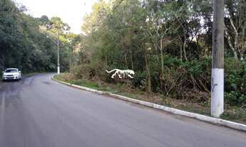 Imagem: TERRENO EM SÃO FRANCISCO DE PAULA