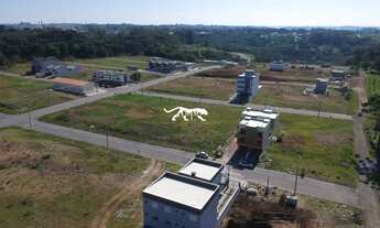 Imagem 2: TERRA NOBRE LOTEMENTO - Terreno no bairro São Victor Cohab