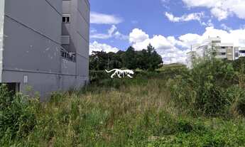 Imagem 2: Terreno no Bairro São Luiz/ Caxias do Sul