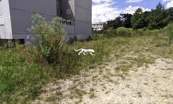 Imagem 3: Terreno no Bairro São Luiz/ Caxias do Sul
