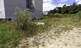 Imagem 4: Terreno no Bairro São Luiz/ Caxias do Sul
