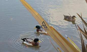 Imagem 6: Terreno em Condomínio à venda em Pedancino, Caxias do Sul - Condomínio Vicinno