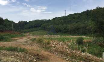 Imagem 3: Terreno à venda em Linha 40, Caxias do Sul