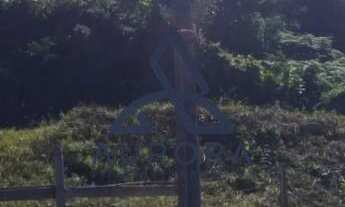 Imagem 3: Oportunidade: Terreno em Charqueadas, Caxias do Sul - Venda