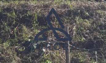 Imagem 4: Oportunidade: Terreno em Charqueadas, Caxias do Sul - Venda