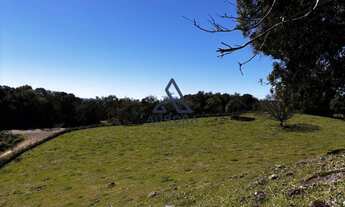 Imagem: Imóvel à venda Chácara em Criúva, Região