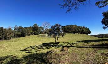 Imagem 2: Imóvel à venda: Chácara em Criúva, Região mulada Caxias do Sul
