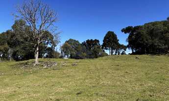 Imagem 4: Imóvel à venda: Chácara em Criúva, Região mulada Caxias do Sul