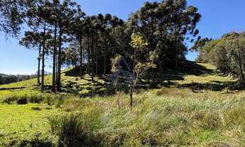 Imagem 6: Imóvel à venda: Chácara em Criúva, Região mulada Caxias do Sul