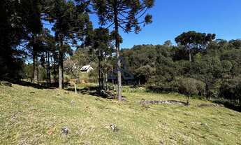 Imagem 7: Imóvel à venda: Chácara em Criúva, Região mulada Caxias do Sul