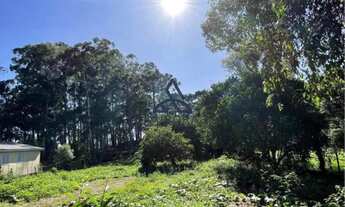 Imagem 4: Oportunidade: Terreno para venda na região da Mulada/Criúva, com um ponto comercial histór