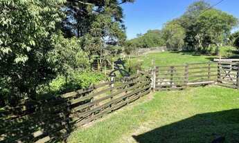 Imagem 6: Oportunidade: Terreno para venda na região da Mulada/Criúva, com um ponto comercial histór