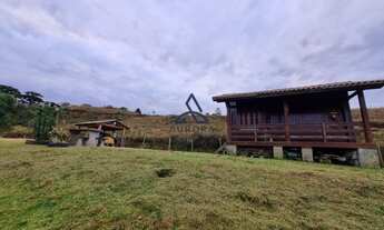 Imagem 5: Chácara 2 Hectares com Benfeitorias à venda em Rincão das Flores