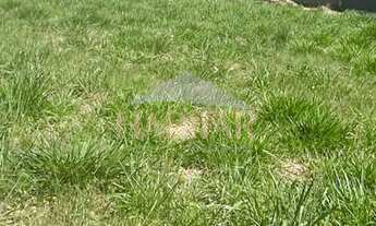 Imagem 3: Terreno com 6 Dormitorio(s) localizado(a) no bairro MOINHOS DE VENTO em CANOAS / Rio Gra